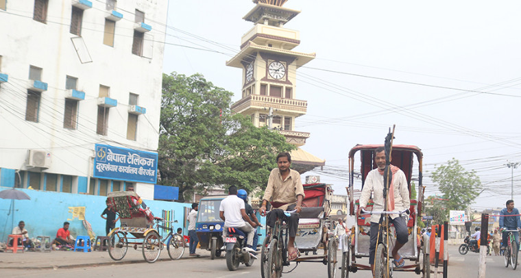 क्रिकेट हेर्न वीरगञ्ज महानगरले दियो बिदा