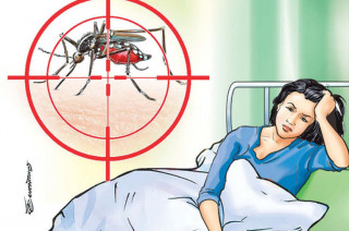 उपत्यकामा डेंगु संक्रमण बढ्दै