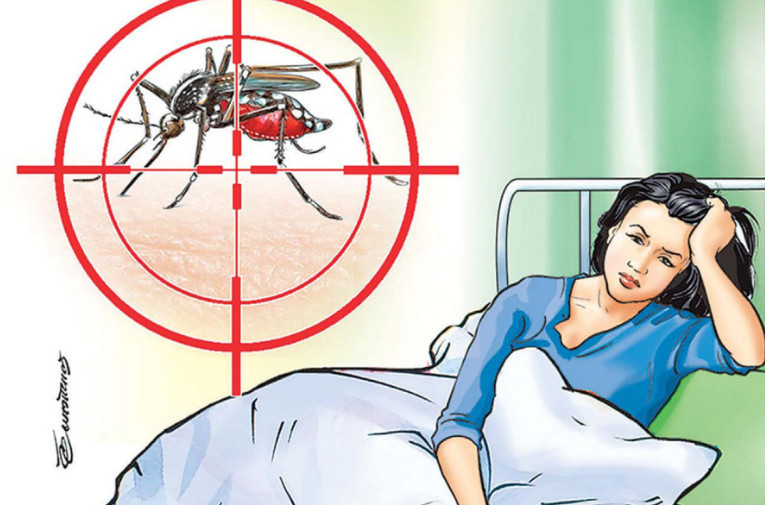 उपत्यकामा डेंगु संक्रमण बढ्दै