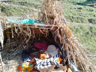 काेठा लिएर बस्ने भूकम्प पीडितले अझै पाएनन् त्रिपाल