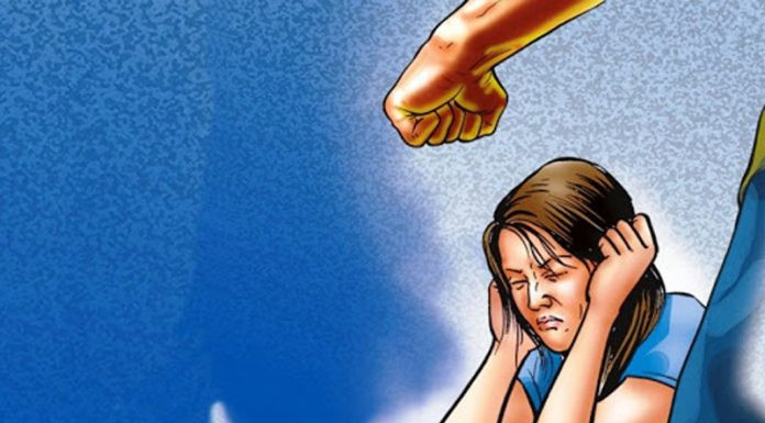 चार महिनामा १ सय ६७ वटा घरेलु हिंसाका घटना