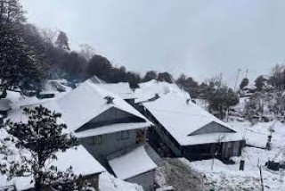 ताप्लेजुङको उच्च हिमाली क्षेत्रमा हिमपात हुँदा किसान खुसी