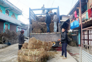 चिराइतो मूल्य बढ्दो, उत्पादन घट्दो     