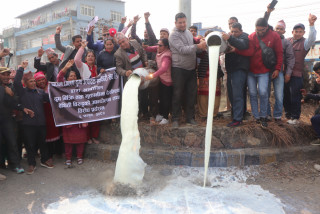 भुक्तानी नपाएको र दूधको बजारीकरण समस्या भएको भन्दै दूध पोखेर विरोधमा उत्रिए सहकारीका किसान