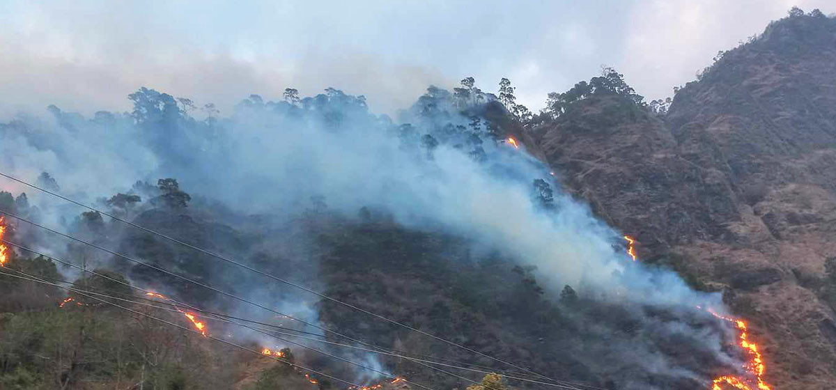 पर्वतका ७० वनमा डढेलो, एक हजार चार सय हेक्टर जङ्गल नष्ट