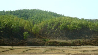 चोरीसिकारी बढेपछि चुरे क्षेत्रमा मासिँदै पशुपक्षी