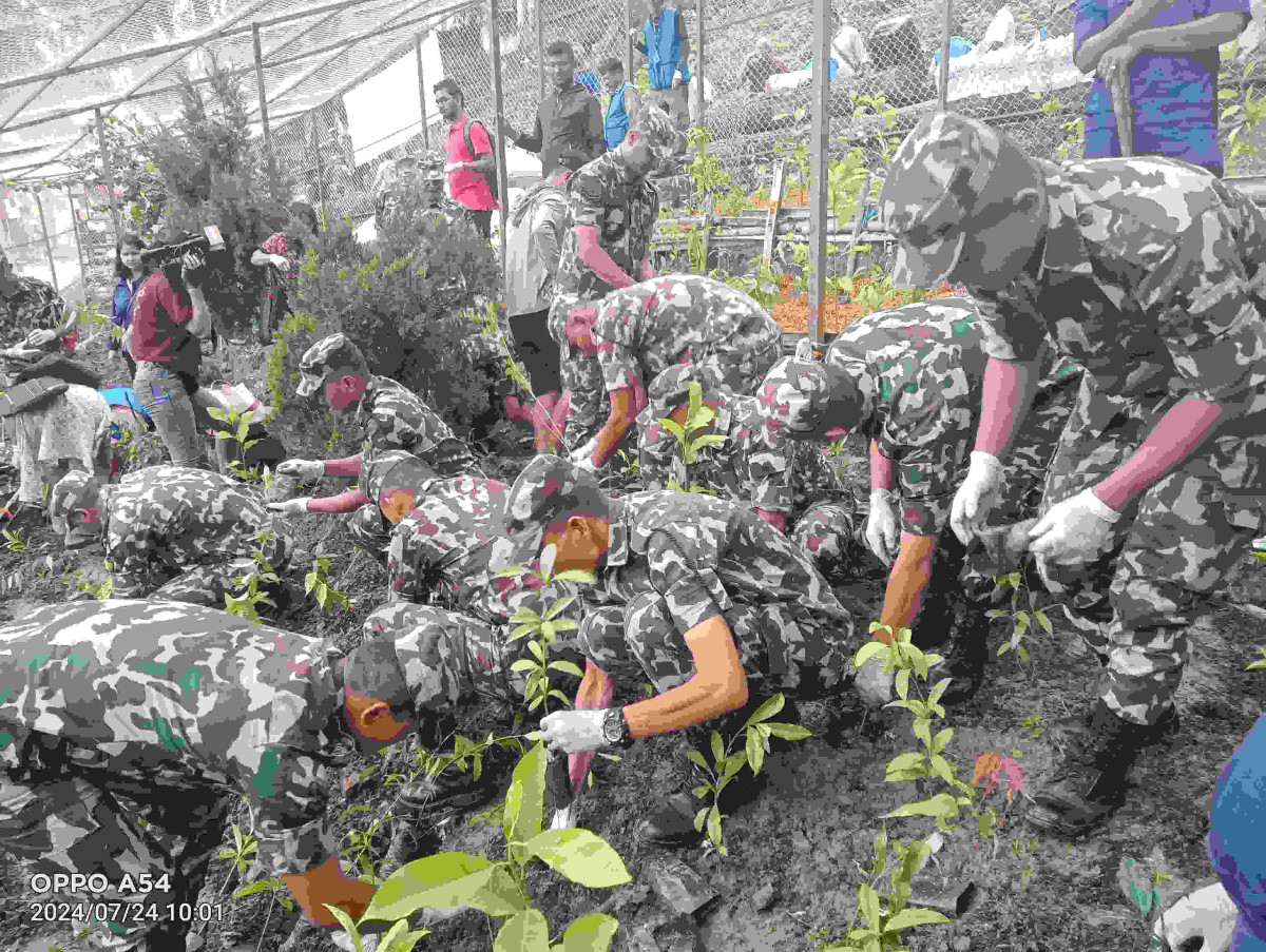 विश्व सम्पदास्थल स्वयम्भूमा वृक्षारोपण