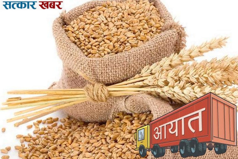 चाडपर्वको समयलाई ध्यानमा राख्दै नेपालले गहुँ आयातमा तीव्रता ल्यायो