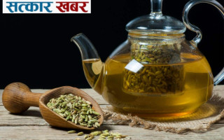 ज्वानोको चिया: शारीरिक ऊर्जा र मेटाबोलिजम बढाउने प्राकृतिक उपाय