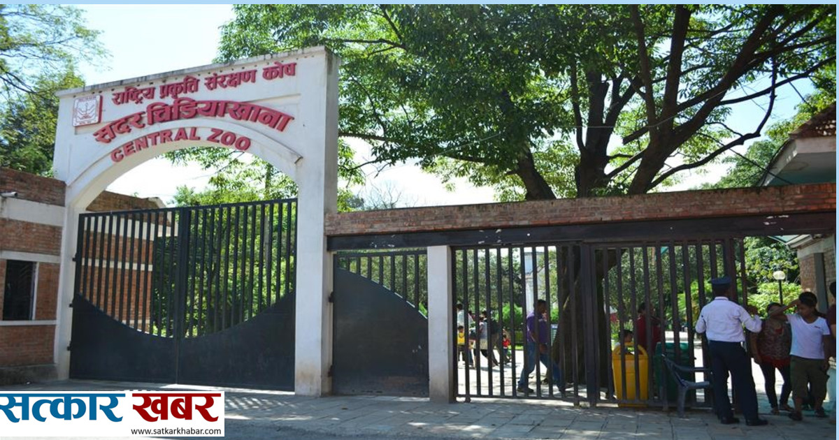 जावलाखेलको चिडियाखानामा नगदरहित सेवा: अब टिकट लिन सजिलो