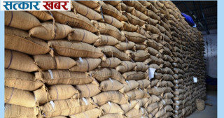सिरहामा खाद्य कम्पनीले धान खरिद प्रक्रिया सुरु गर्‍यो
