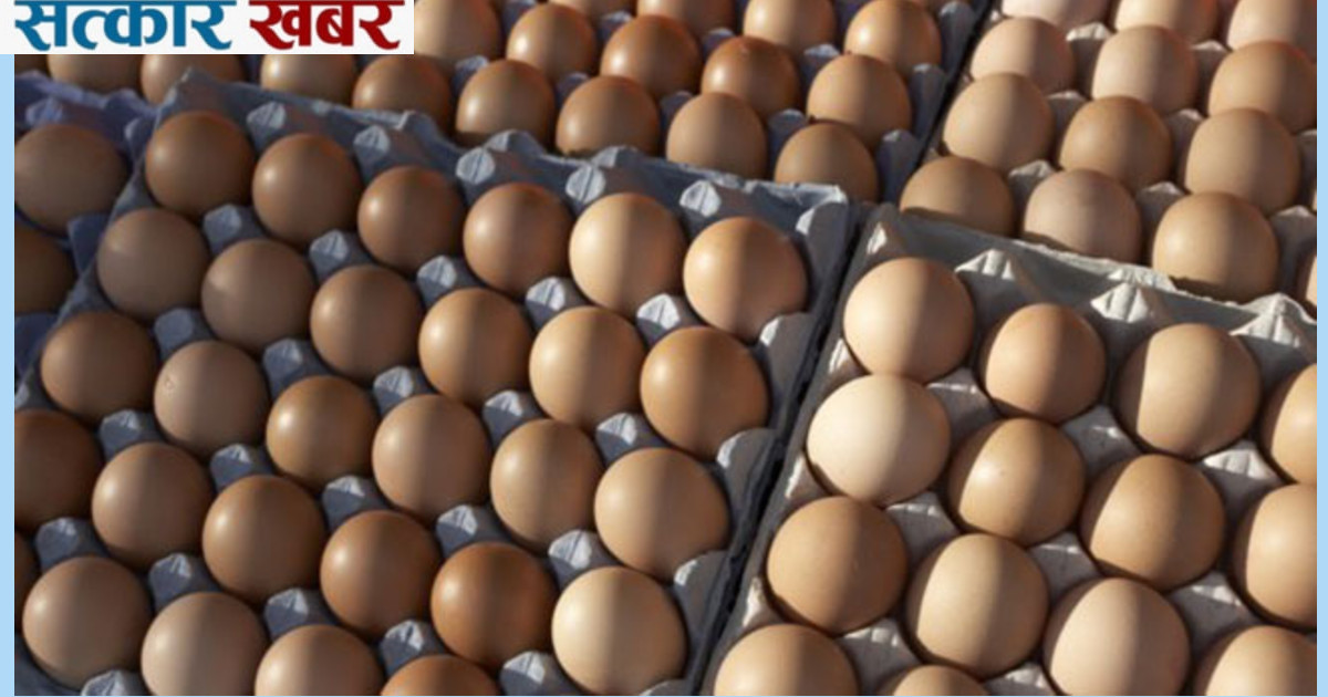अण्डाको नयाँ मूल्य निर्धारण: ठुलो अण्डाको प्रतिक्रेट ४ सय ८५ रुपैयाँ