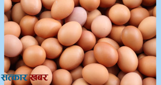 अण्डाको मूल्य १५ रुपैयाँले वृद्धि, प्रतीक्रेट ५ सय रुपैयाँ