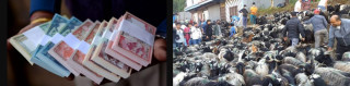 यसपालिको दसैँमा राष्ट्र बैंकले नयाँ नोट नबाँड्ने, खाद्यले खसी–च्याङ्ग्रा पनि नबेच्ने