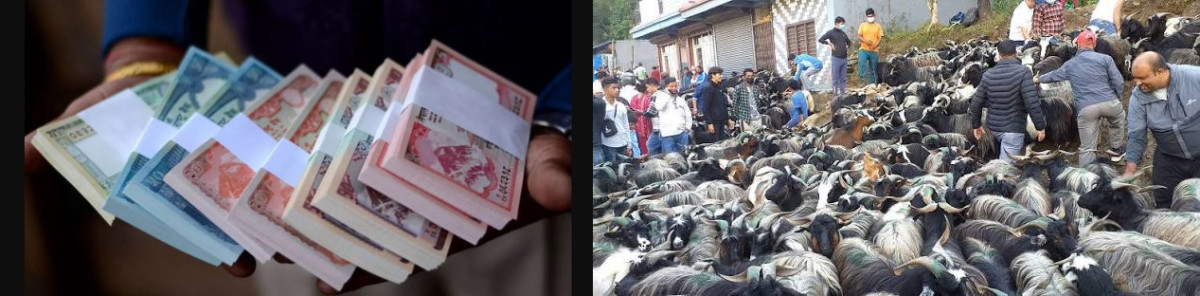 यसपालिको दसैँमा राष्ट्र बैंकले नयाँ नोट नबाँड्ने, खाद्यले खसी–च्याङ्ग्रा पनि नबेच्ने