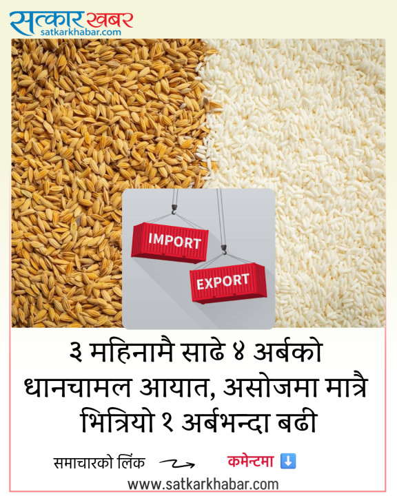 ३ महिनामै साढे ४ अर्बको धानचामल आयात, असोजमा मात्रै भित्रियो १ अर्बभन्दा बढीको